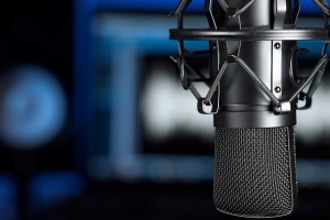 Multilingual Voice Over Services