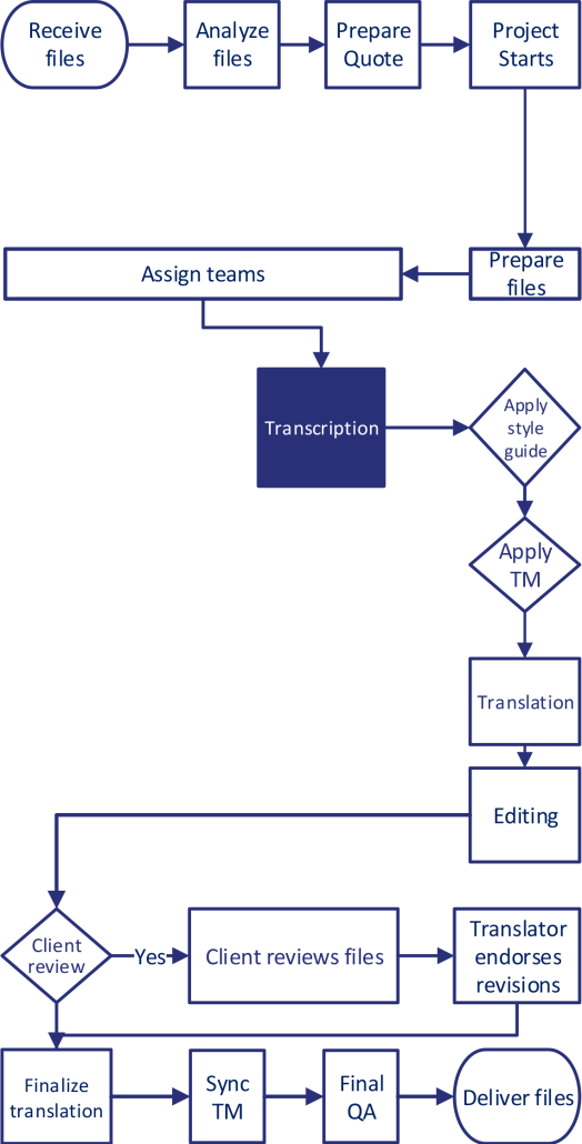 Transcription Translations Process