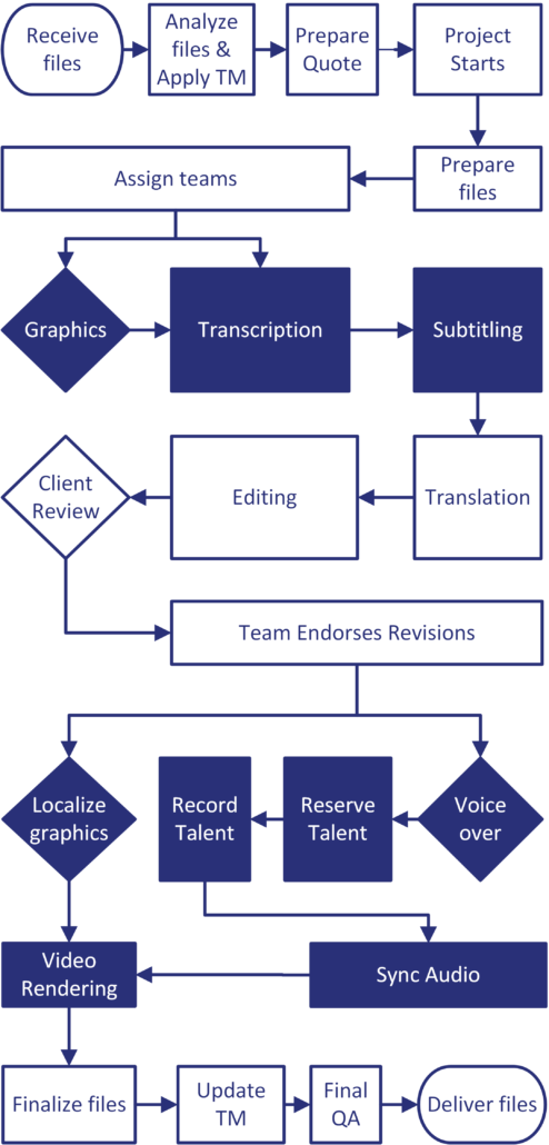 Video Translation Process