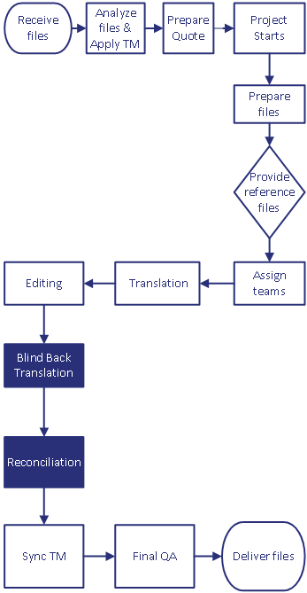 Back Translation Process