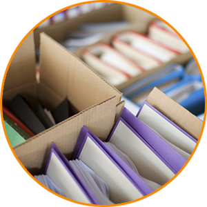 Document Translation Services