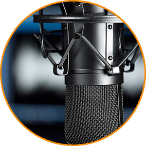 Multilingual Voice Over Services