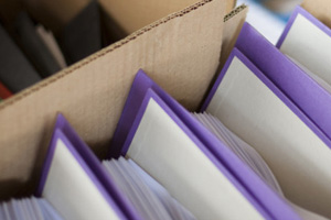 Translation Alignment