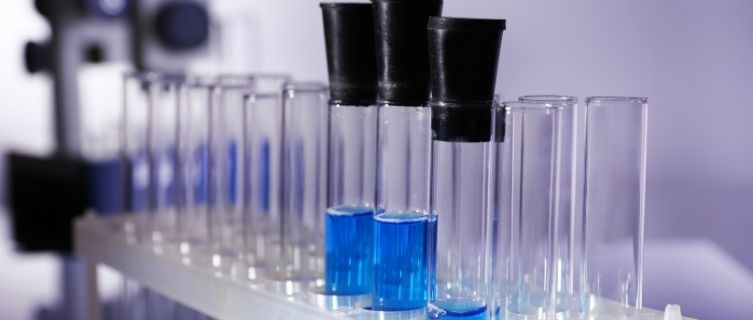 Why localization is essential to growing your biotech company