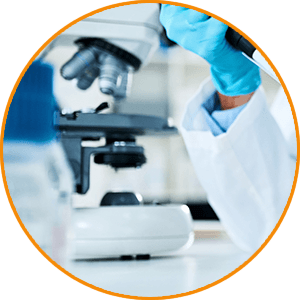 Clinical Trial Translations