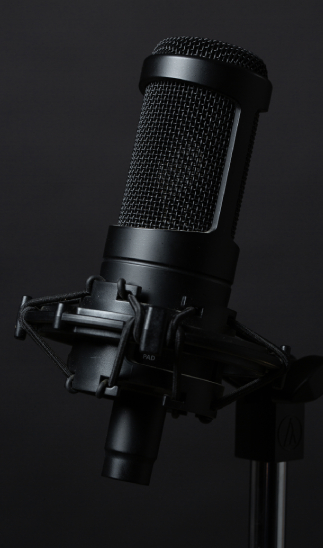 Audio Translation Services