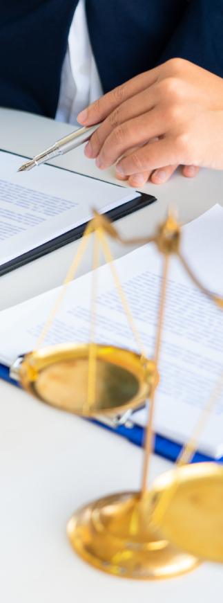 Foreign Language Document Review