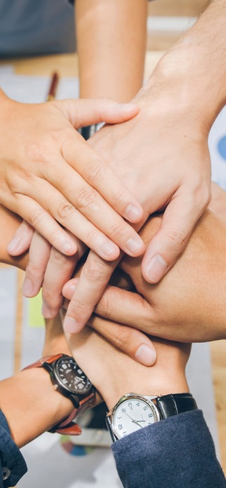 Importance of Proper Back Translation