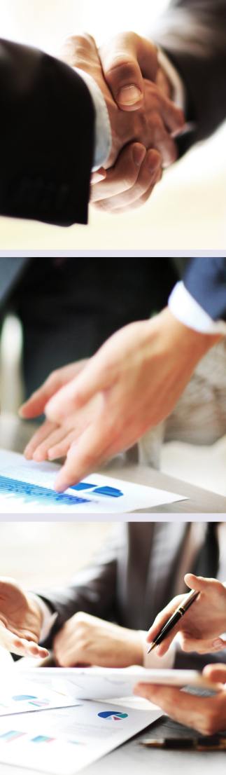 Who Needs Back Translation Service