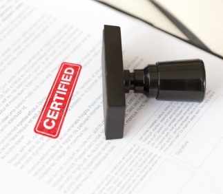 Certified Insurance Translation Services