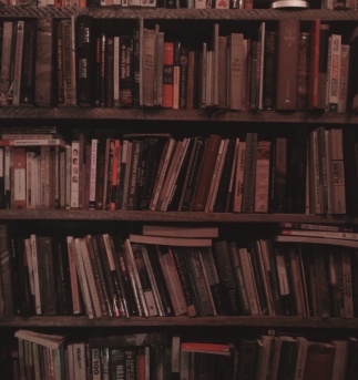 What Is Literary Translation