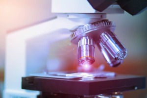 Life Science Translation Services