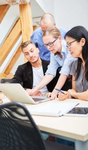 Language service provider certification programs